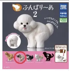 Item thumbnail for item 1d3fdf4c-6364-4ef4-aca5-57dd5a67538b