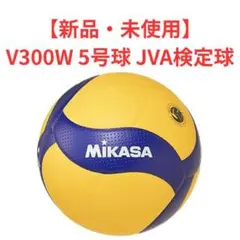 Item thumbnail for item 47a5021c-a396-4627-afec-48a28105e384