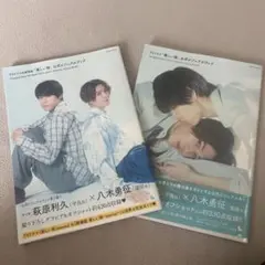 TVドラマ&劇場版「美しい彼」公式ビジュアルブック
