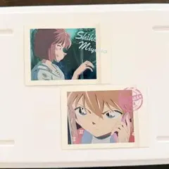 灰原哀　シェリー　ぱしゃこれ【名探偵コナン】