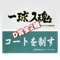 一番くじ ハイキュー!! ～全国への道～　D賞タオル　全2種
