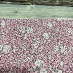 リバティ 生地幅×20cm
