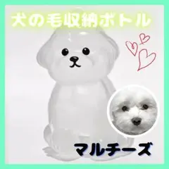 Item thumbnail for item e48c65e4-093f-4498-be3d-b10fb31b6fd6