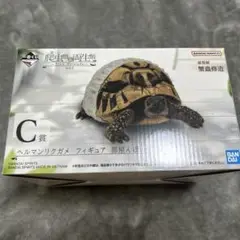 一番くじ　ヘルマンリクガメ フィギュア C賞 部屋んぽver.