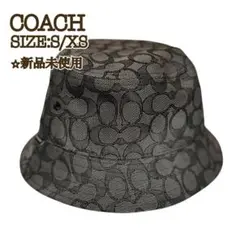 Item thumbnail for item 2259591d-720c-4e28-b257-b0b1ce13a587