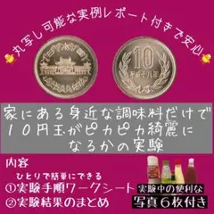 メルカリ便変更　10円玉の自由研究　丸写し可能　ワークブック　実験写真６枚付