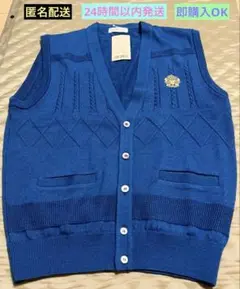 【訳あり品】新品タグ付きベスト　青(ブルー)Ｌサイズ
