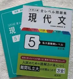 現代文 5 私大最難関レベル 改訂版 2024発行　旺文社