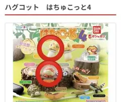 ハグコット はちゅこっと4 全10種 フルコンプ ハグコット はちゅこっと4｜ガシャポンオフィシャルサイト