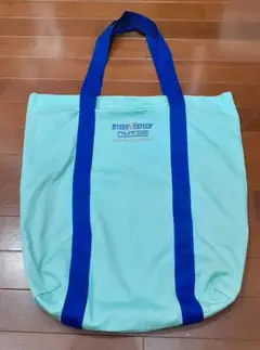 ニューテック インターセプター ミントグリーン ナイロン エコバッグ