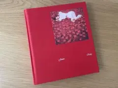 JENNIE ジェニー Ruby ルビー Jane Ver. ブラックピンク