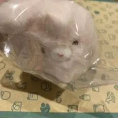 ぶるぶるうさぴょん かけっこ
