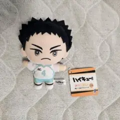 ハイキュー みにコレ 岩泉一