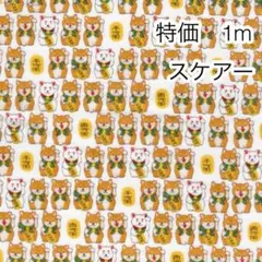 ラスト 特価 1m まねき犬 柴犬 ホワイト スケアー