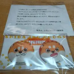 【当選品 レア】シバつき物件