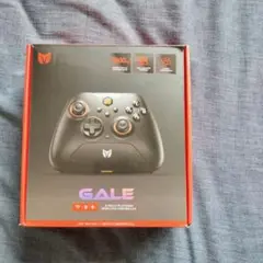 BIGBIG WON GALE