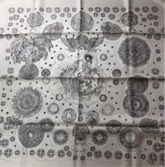エルメス スカーフ