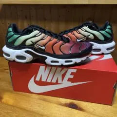 ※もんち※AIR MAX PLUS TIEMPO 27.0cm/シルバー ナイキ ※もんち様専用※AIR MAX PLUS TIEMPO 27.0cm/シルバー