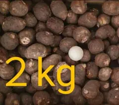 里芋 2kg リピーター 100円引 一箱限定 愛媛県産 自宅用 No.274