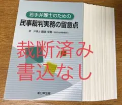 若手弁護士のための民事裁判実務の留意点