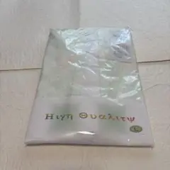 Item thumbnail for item d1af98fb-26ee-4c87-94ff-984d64e555f7