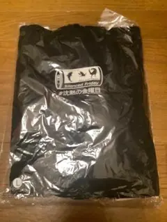 Item thumbnail for item d8a48ffd-1a71-45b3-b743-4dbbbd5f90b5