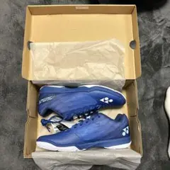 バドミントンシューズエアランスＺメンズ27.5cm