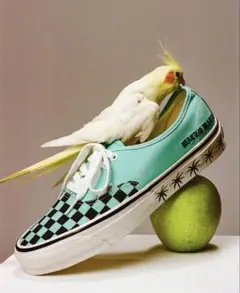 28cm VANS / LX AUTHENTIC 44 ブルー ワコマリア