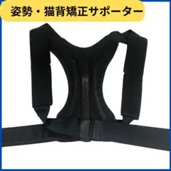 Item thumbnail for item 21627a80-c1f0-4027-865f-4e58654b9f42