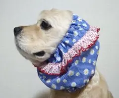 Item thumbnail for item f09a1404-b25b-45db-875c-f452c15f7b63