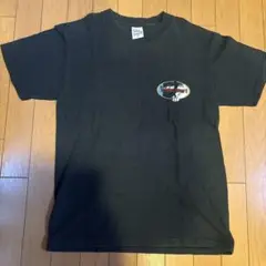 当時物The Endless Summer® II オールドサーフTシャツ