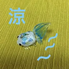 金魚　　1匹