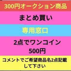 300円オークション2点まとめ買い窓口