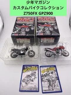激レア！未開封！特攻の拓 プラモデル 1/12 単車 バイク 武丸 ５種セット 激レア！未開封！特攻の拓 プラモデル 1/12 単車 バイク 武丸 5