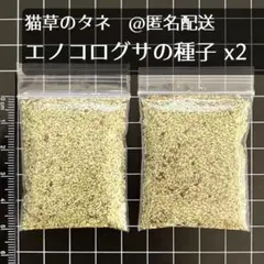 Item thumbnail for item aa69279e-7df6-47ab-9843-99aca2a84b61