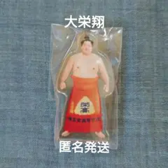 大相撲 ガチャ 大栄翔 アクスタ アクリルスタンド