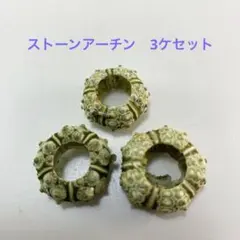 NO.68s-22 ストーンアーチン(ウニ殻) 3ケセット