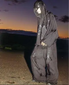 dinoworks new egg hoodie size L！