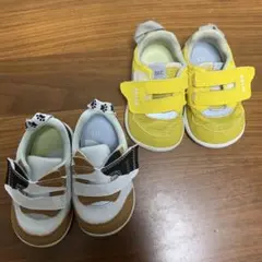 Item thumbnail for item 08c72079-72e0-4c61-8ae3-511a107565ce