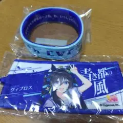 ウマ娘 6th ヴィブロス　シリコンバンド　ミニ応援タオルキーホルダー　セット