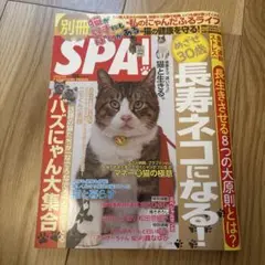 別冊SPA!猫が好きにもほどがある