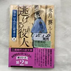S-16 逃げる役人 密命はみだし新番士2