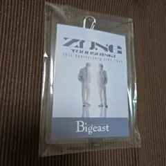 東方神起20th zone スタッフパスレプリカ