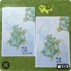 ✺残暑お見舞い✺　絵本のような癒やされる亀のおやこ