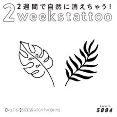 2週間で消える♡ジャグアタトゥーシール