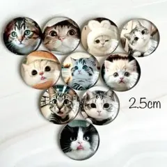 2.5cm 猫カボション 10個
