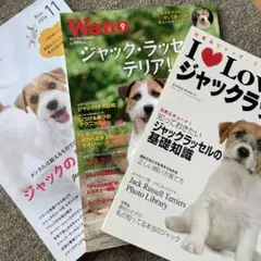 ジャック・ラッセル・テリア 雑誌セット　3冊