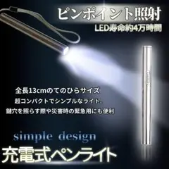 ペンライト コンパクト LED ライト USB 充電 懐中電灯 p10-21a