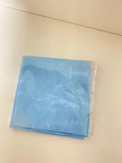 Item thumbnail for item 1df4b0b1-cad4-4060-bc47-aa70f6ea3155