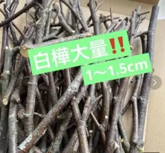 白樺の枝 大量セット 1〜1.5cm 1箱のみ‼️値下げ